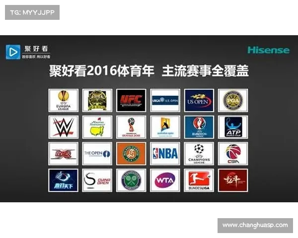 体育赛事赞助成功的案例分析