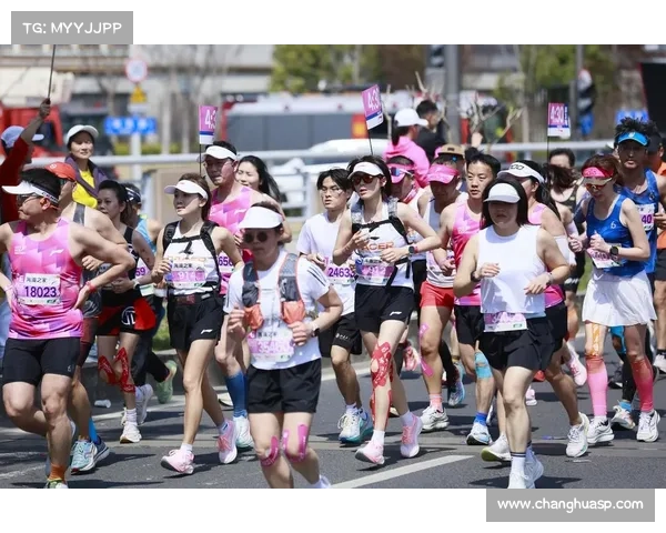 全国马拉松赛事数量