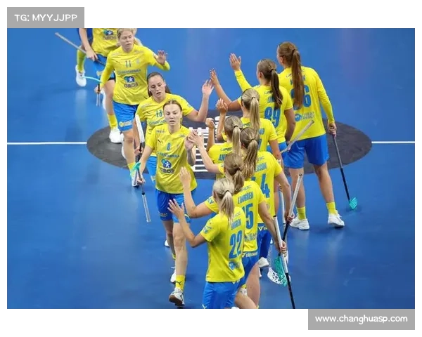 赛事 瑞典 瑞士 瑞典国家队对阵瑞士国家队精彩足球赛事即将震撼上演