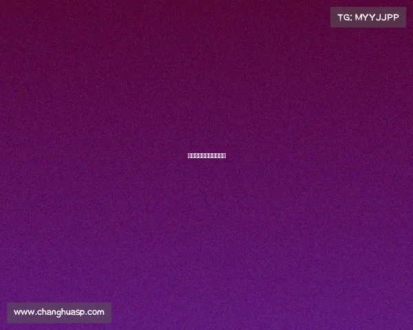 全职法师国服队正式成员