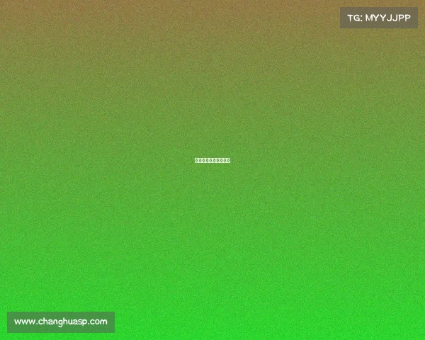 南亚电子幕后老板是谁